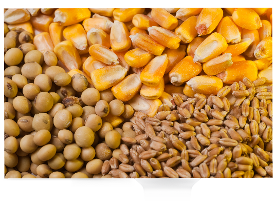 slide3